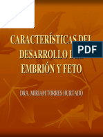 desarrollo fetal 