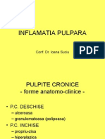 Inflamatia Pulpara II