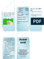 Leaflet Asam Urat