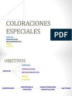 MICROCOLORACIONES.pdf