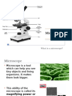 Microscopy: What Is A Microscope?