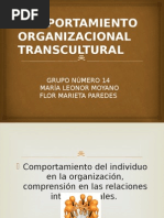 Comportamiento Organizacional Transcultural