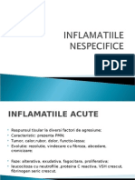 LP4-Inflamatii Nespecifice 2007.