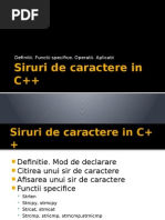 Siruri de Caractere C++