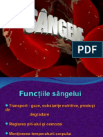 118492507-Sangele-CURS.ppt