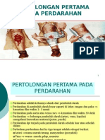 Pertolongan Pada Perdarahan