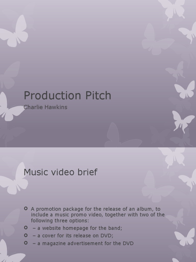Music Video Production Pitch Overview | PDF