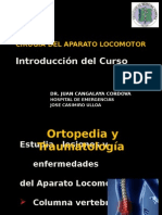 ortopedia