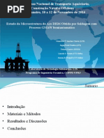 Apresentação Sobena