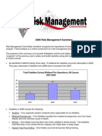 Risk MGMT Summary 2009 PDF