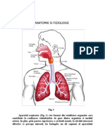 Aparatul Respirator