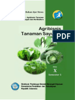 Agribisnis Tanaman Sayuran 1