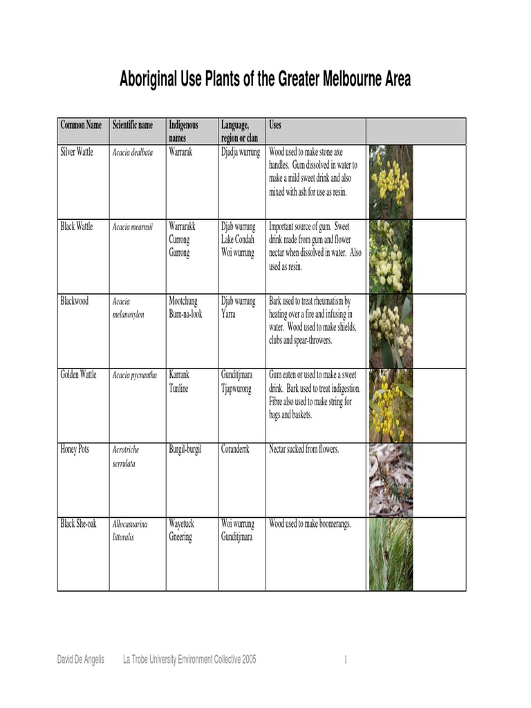 Aboriginal Plant Use List w Pictures v447ms Eucalyptus Plants