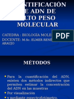 Cuantificación ADN alto peso molecular