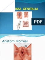 Trauma Genitalia