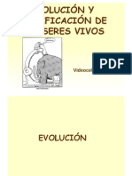 Videocolaboracion2B_evolucion_y_clasificacion.pdf