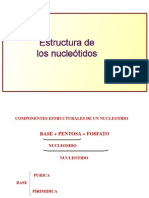 Estructura de Nucleotidos 2 PDF