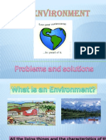 Environmenta Lproblems and Solutions