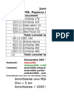 Exemplu Calcul PFA 2012