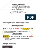 Photosynthesis, Fermentation, Fizzy Drinks and Rubbers Prelab 6 2015