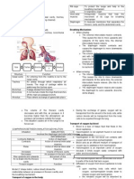 Human Respiratory System: When Inhaling