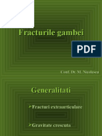 148183570-Fracturile-gambei.ppt