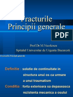 210821548-Fr-Principii-Generale.ppt