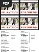 Pellentesqu E Pellentesqu E: Aliquam Fermentum Aliquam Fermentum