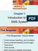 1 Introduction to the EMS