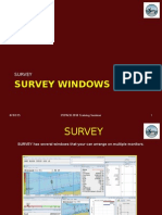 2010 Survey Windows