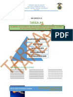 Tarea 4 GM Rivas