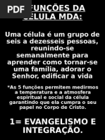5 Funções Da Célula Mda