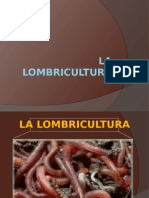 La Lombricultura