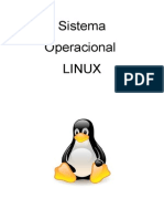 Conceitos Básicos Linux