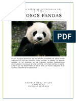 Osos Panda