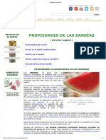 Propiedades de las sandías.pdf