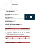 Programa de Salud Ocupacional 