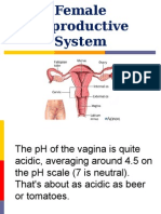 Female Reproductive System