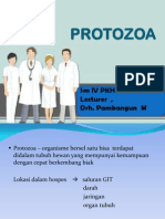 Anti Protozoa Anti Fungal SM IV PKH Ub 2013