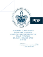 Alimentos Procesados y Su Relación Con La Obesidad