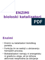 ENZIMI1