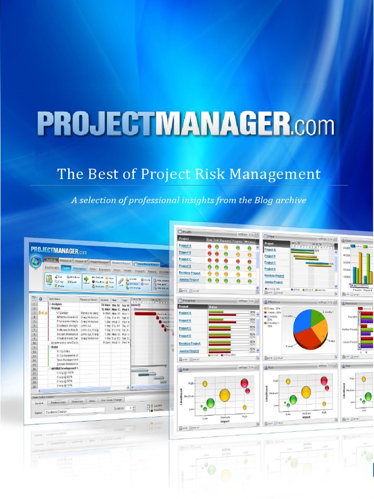 The Best of Project Risk Management | PDF | Risk Management | Risk
