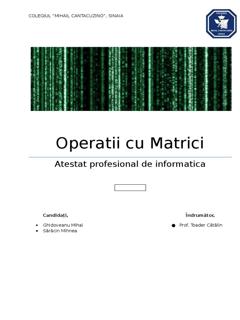 Atestat Informatica - Matrici | PDF