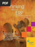 Thinking About ERP (2009)