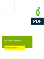 LNG-Process-Presentation.pdf