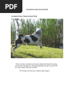 Download Old Boats and Old Quotes by katapley7953 SN27026942 doc pdf