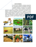 Sector Primario, Secundario y Terciario. Agricultura en Guatemala