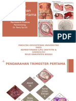 1123PRINT Iibismillah Referat Danti Pendarahan Trim.1