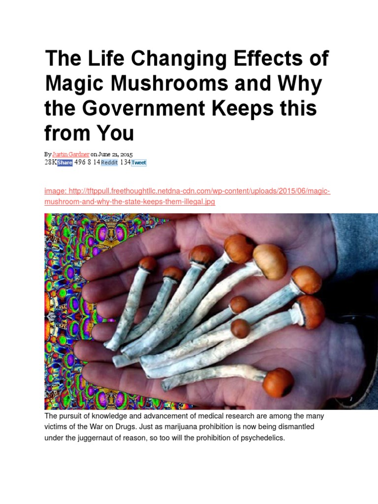 The Life Changing Effects of Magic Mushrooms and Why The Government