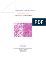 a-epitelio-revestimiento.pdf